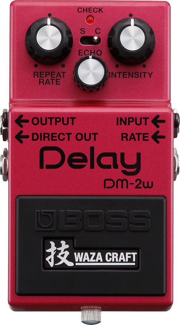 Boss DM-2w Delay